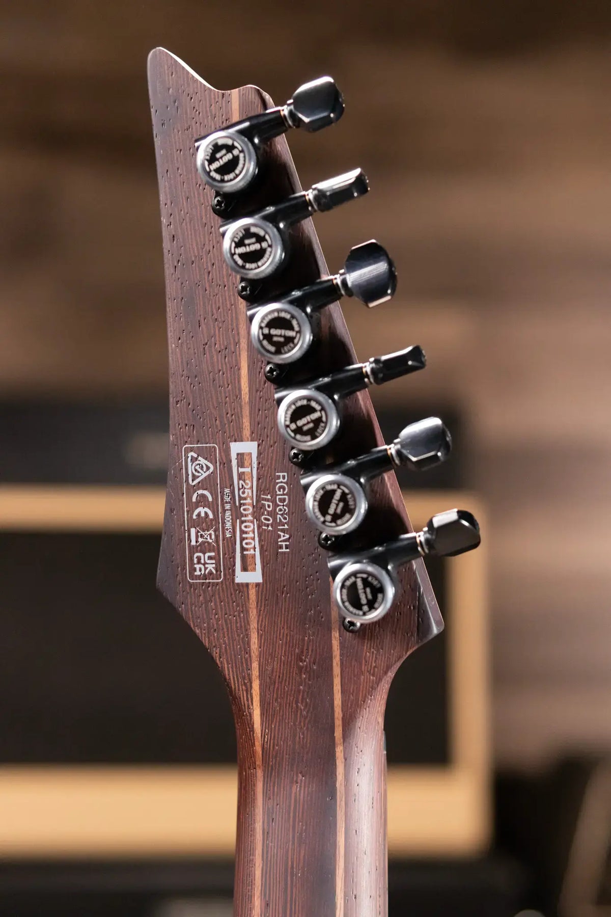 Ibanez RGD621AHMNF Standard Electric Guitar - Midnight Shade Fade