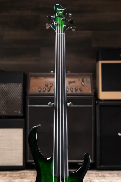Ibanez Steve Di Giorgio Signature SDGB1-DMT 5-String Fretless Electric Bass - Dark Moss Burst