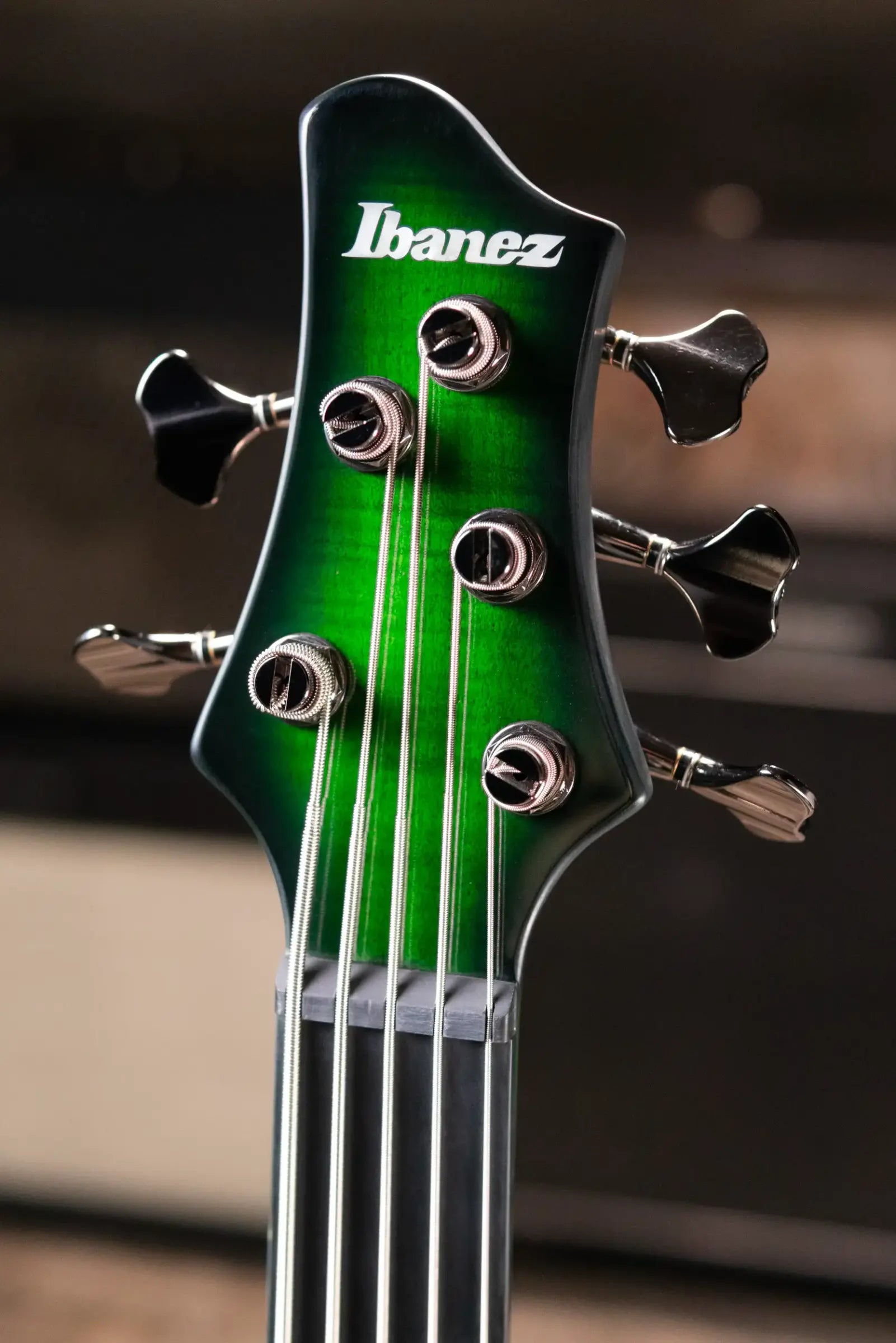 Ibanez Steve Di Giorgio Signature SDGB1-DMT 5-String Fretless Electric Bass - Dark Moss Burst