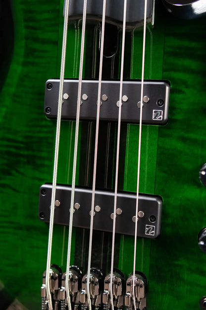 Ibanez Steve Di Giorgio Signature SDGB1-DMT 5-String Fretless Electric Bass - Dark Moss Burst