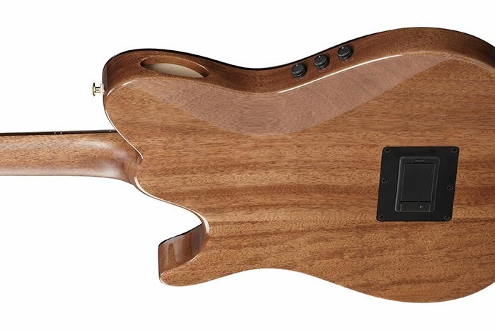 Ibanez TOD100N Tim Henson Signature Nylon Electric Guitar - Natural High Gloss with Gig Bag