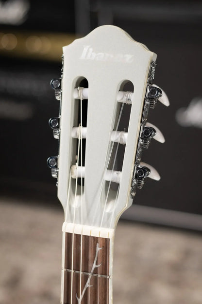 Ibanez TOD10N Tim Henson Signature Nylon Acoustic/Electric Guitar - Silver Metallic Flat