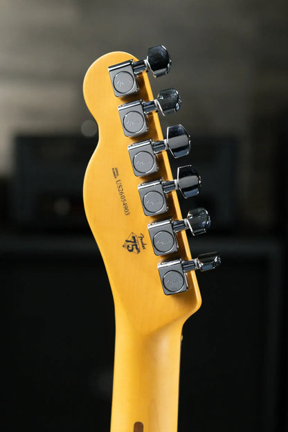 Fender American Professional Telecaster Electric Guitar - 3-Color Sunburst with Hardshell Case