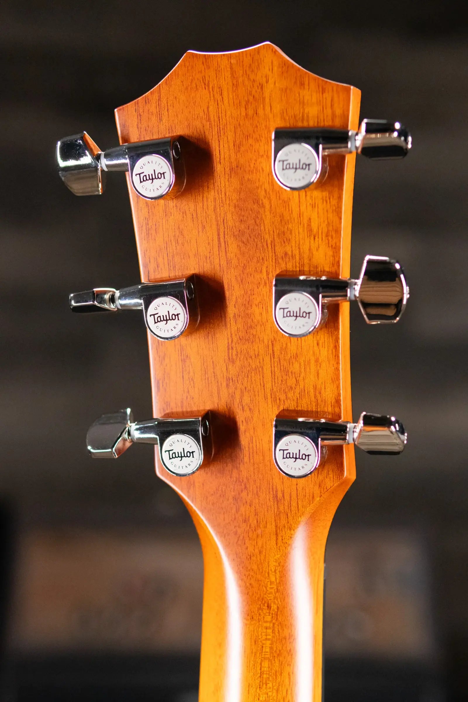 Taylor Next Generation 614ce Grand Auditorium Acoustic/Electric Guitar - Antique Blonde with Hardshell Case