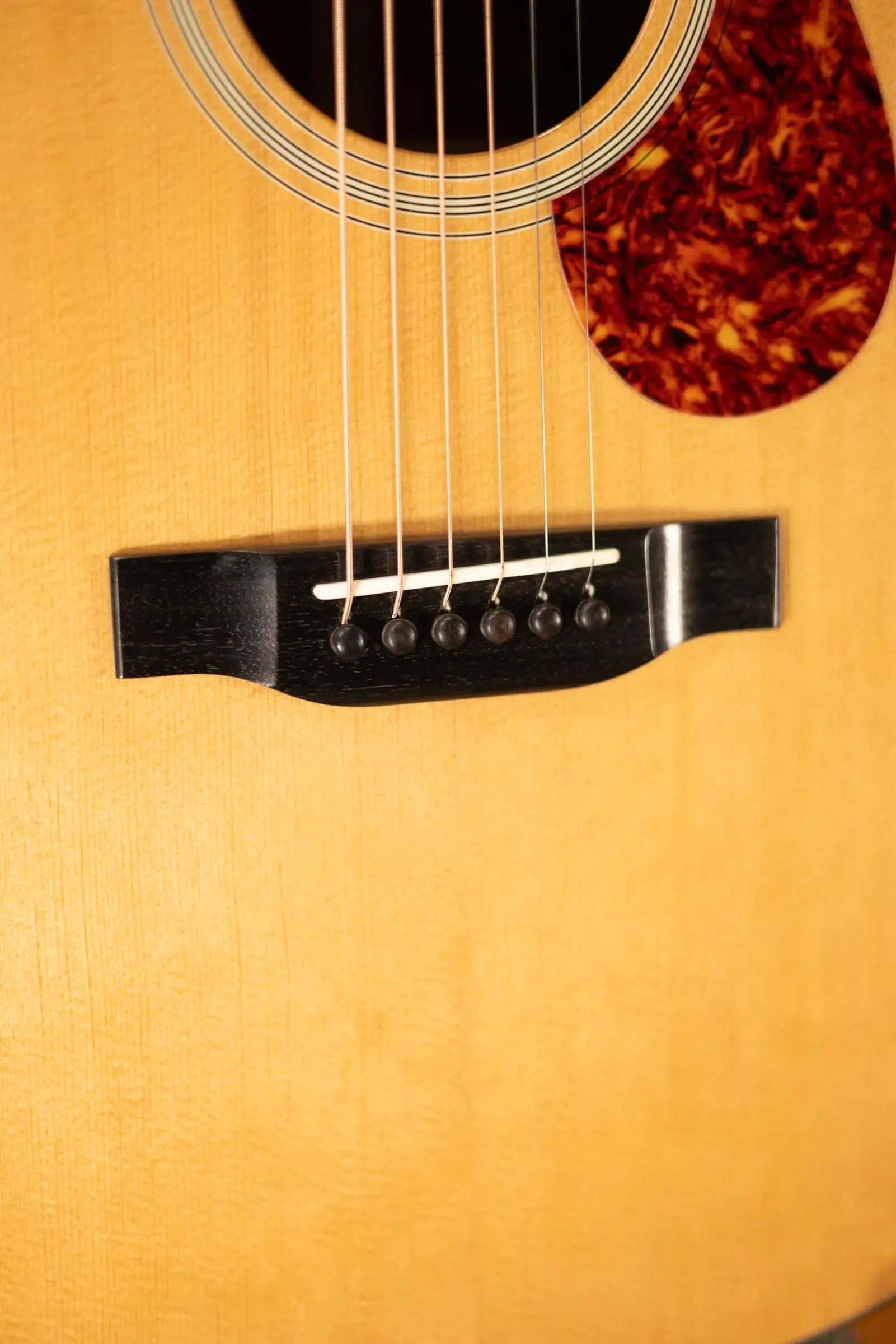 Eastman E1OM-DLX Acoustic/Electric Guitar