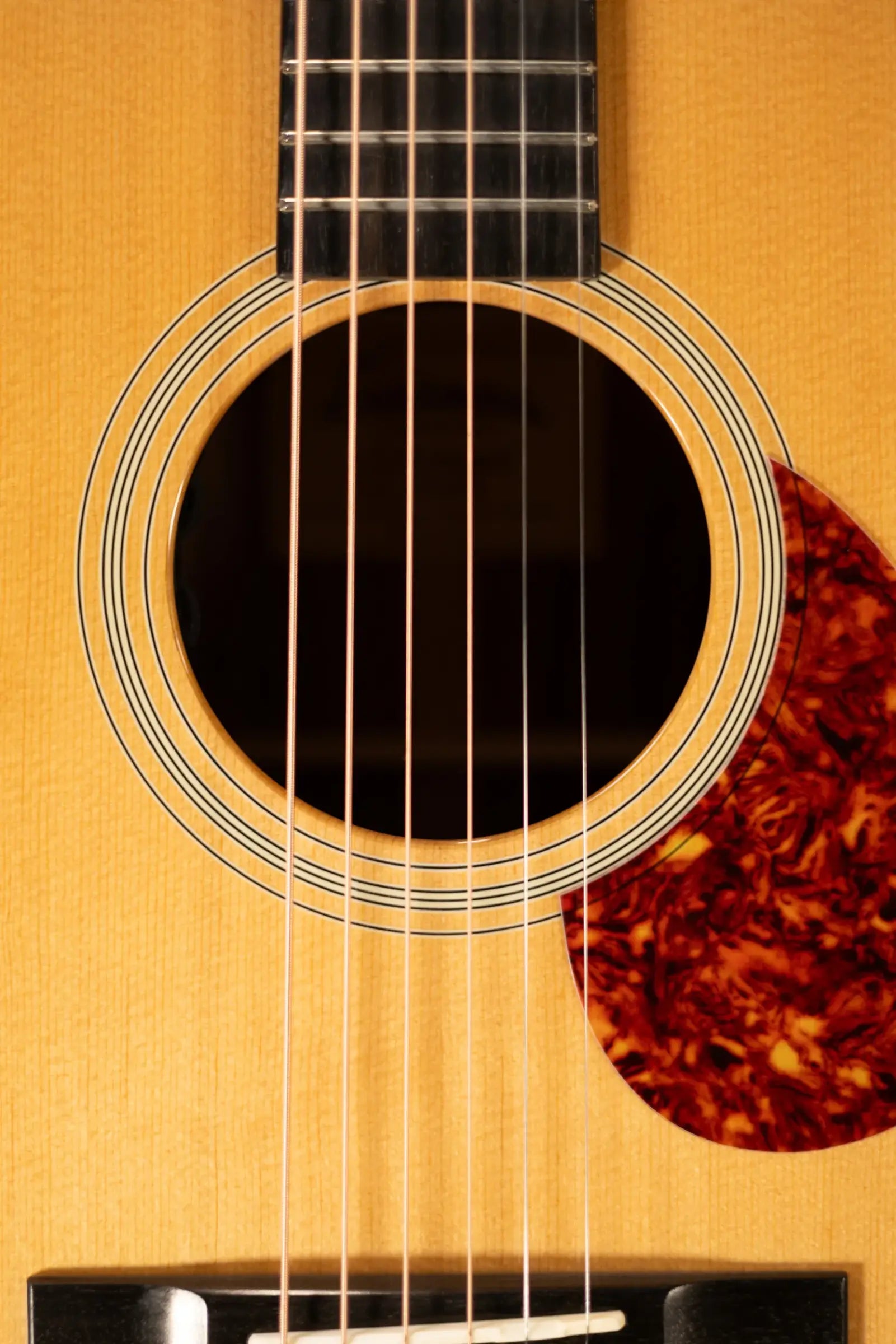 Eastman E1OM-DLX Acoustic/Electric Guitar