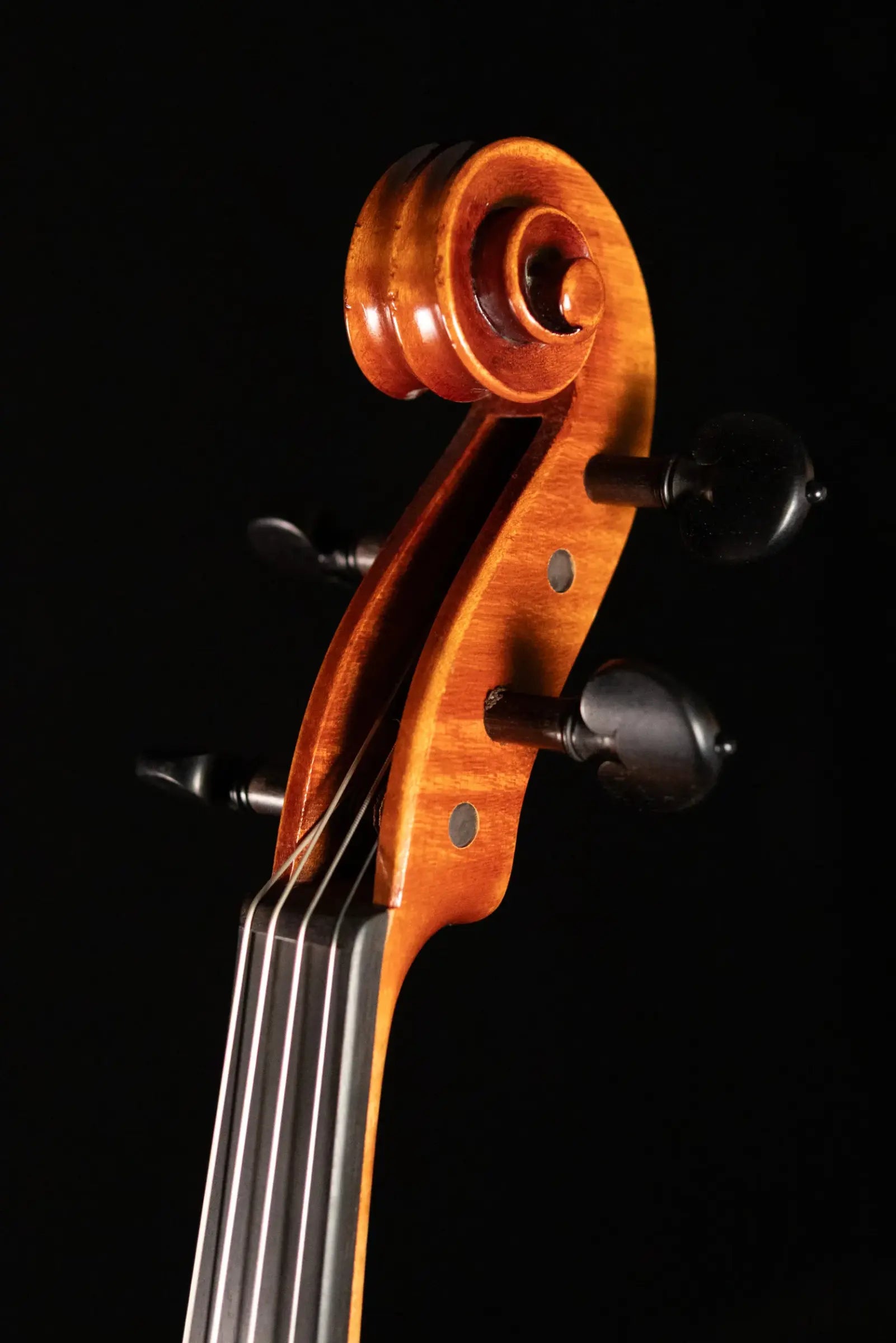 Scott Cao STA-750E Da Salo 1580 Viola - 16"