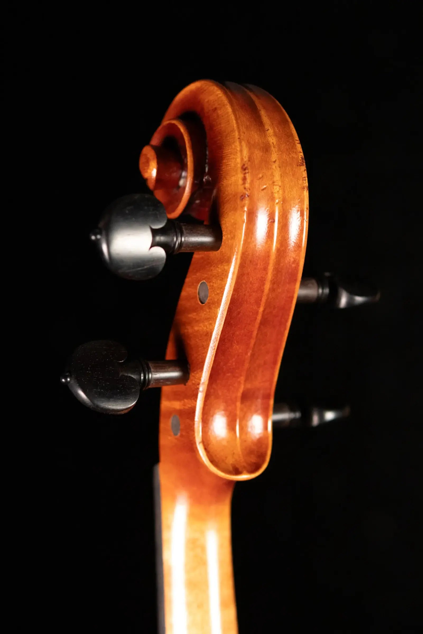 Scott Cao STA-750E Da Salo 1580 Viola - 16"