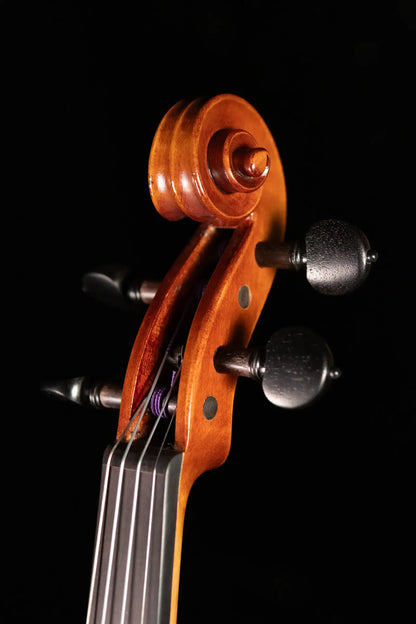 Scott Cao STV-750E Da Salo 1580 Gaspar 1-Piece Back Violin - 4/4
