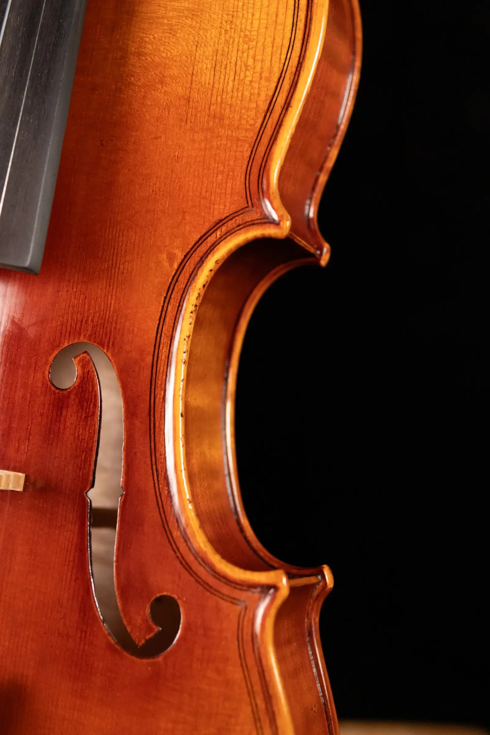 Scott Cao STV-750E Da Salo 1580 Gaspar 1-Piece Back Violin - 4/4