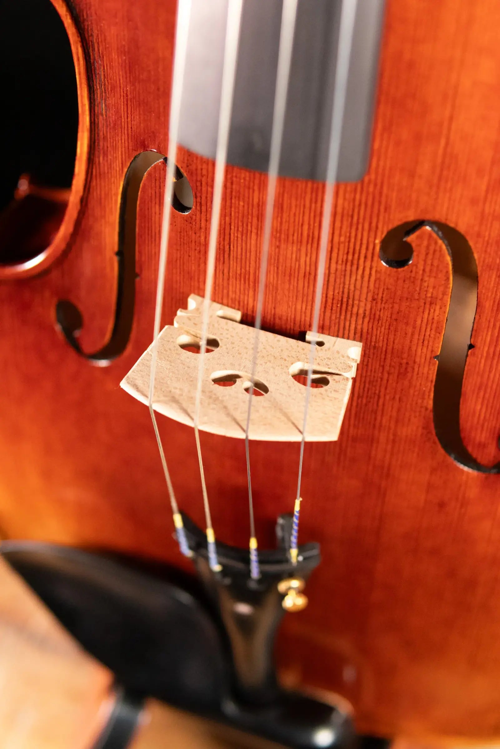 Maple Leaf Strings Chaconne Craftsman Collection Viola, Parisian Eye Fittings - 16.5"