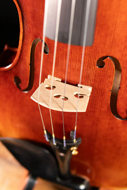 Maple Leaf Strings Chaconne Craftsman Collection Viola, Parisian Eye Fittings - 16.5"