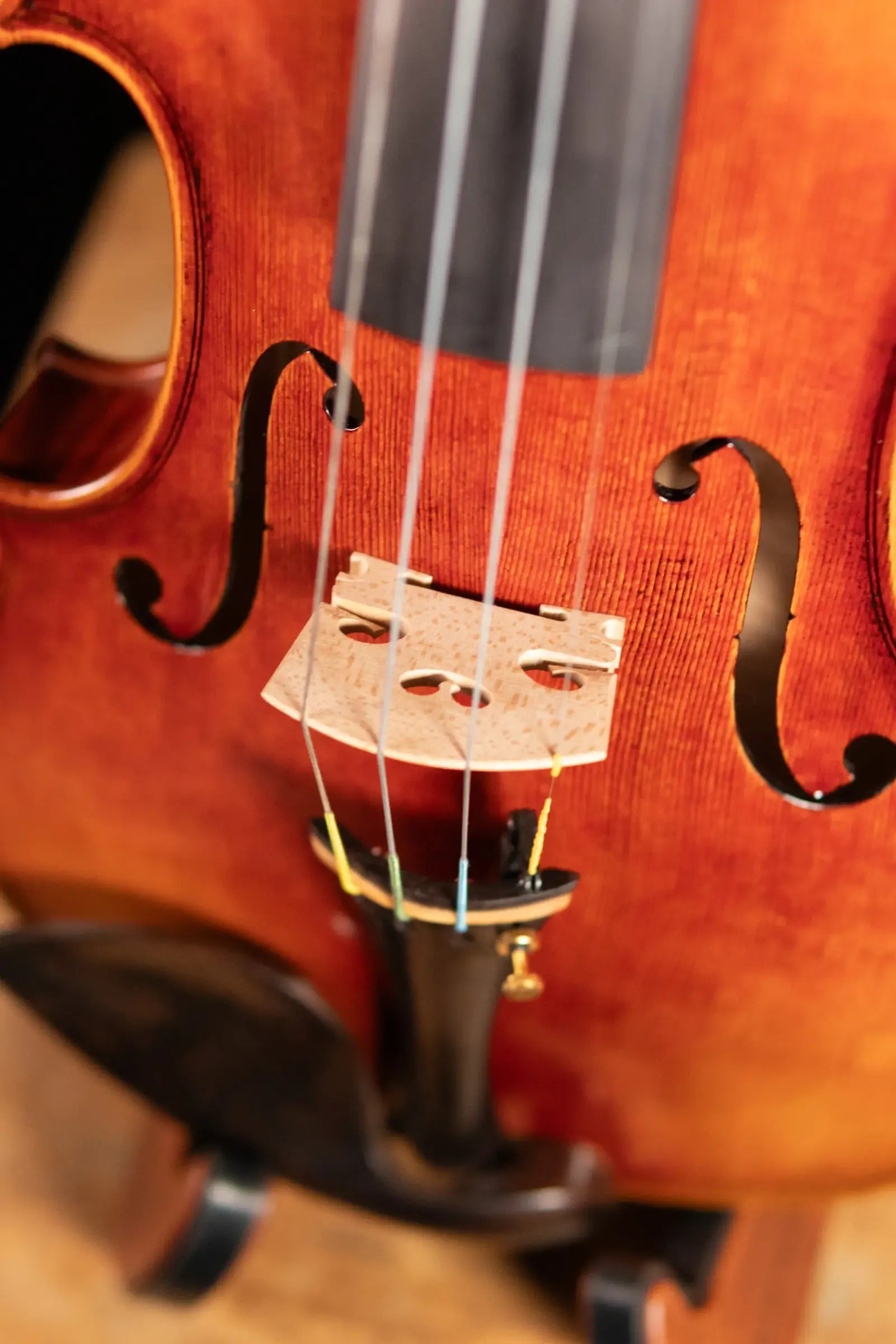 Maple Leaf Strings Master Collection Master Linn Violin - 4/4