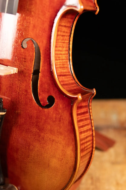 Maple Leaf Strings Master Collection Master Linn Violin - 4/4