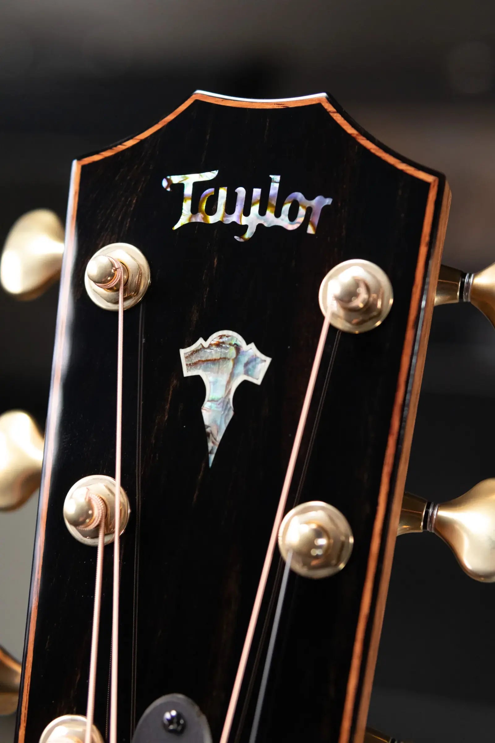 Taylor 2026 Catch Custom #13 C10e Dreadnought Acoustic/Electric Guitar with Hardshell Case