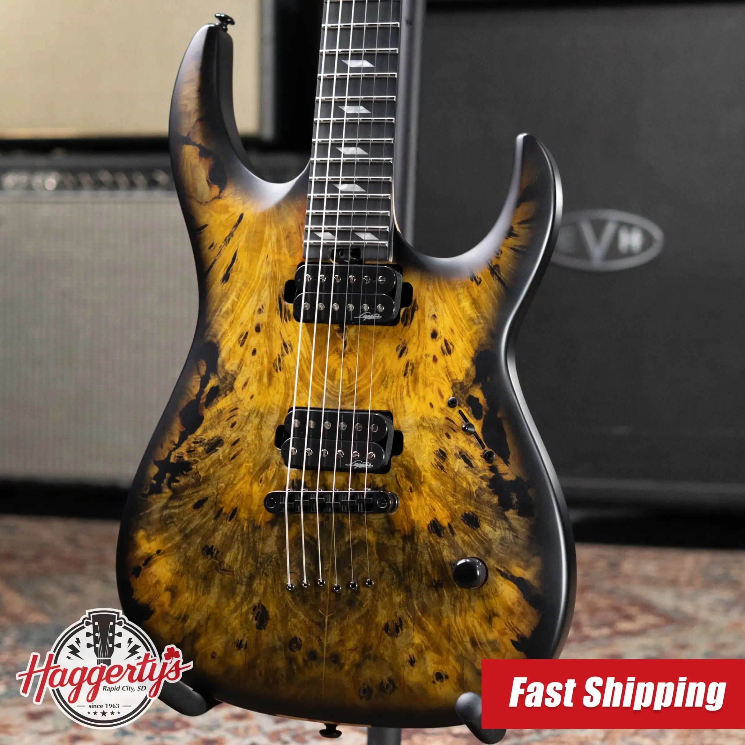 Legator N300 Pro Electric Guitar - Jupiter Burst with Gig Bag
