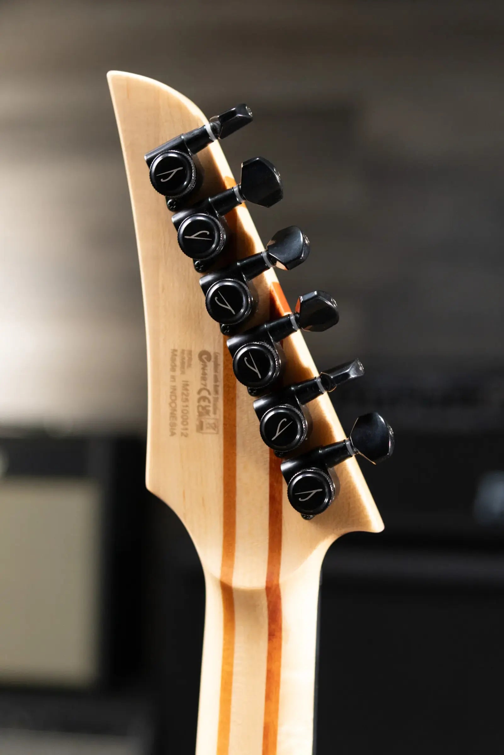 Legator N300 Pro Electric Guitar - Jupiter Burst with Gig Bag