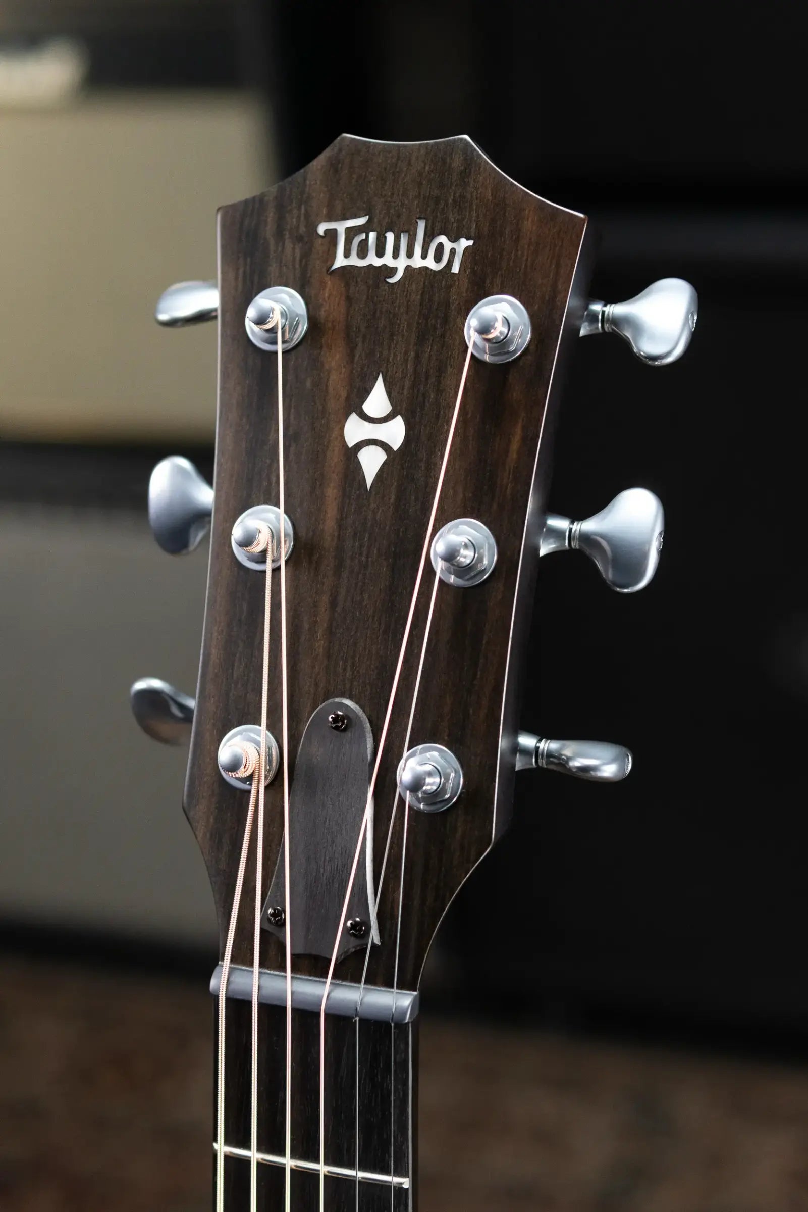 Taylor Next Generation Builder's Edition 514ce Grand Auditorium Acoustic/Electric Guitar - Natural with Hardshell Case