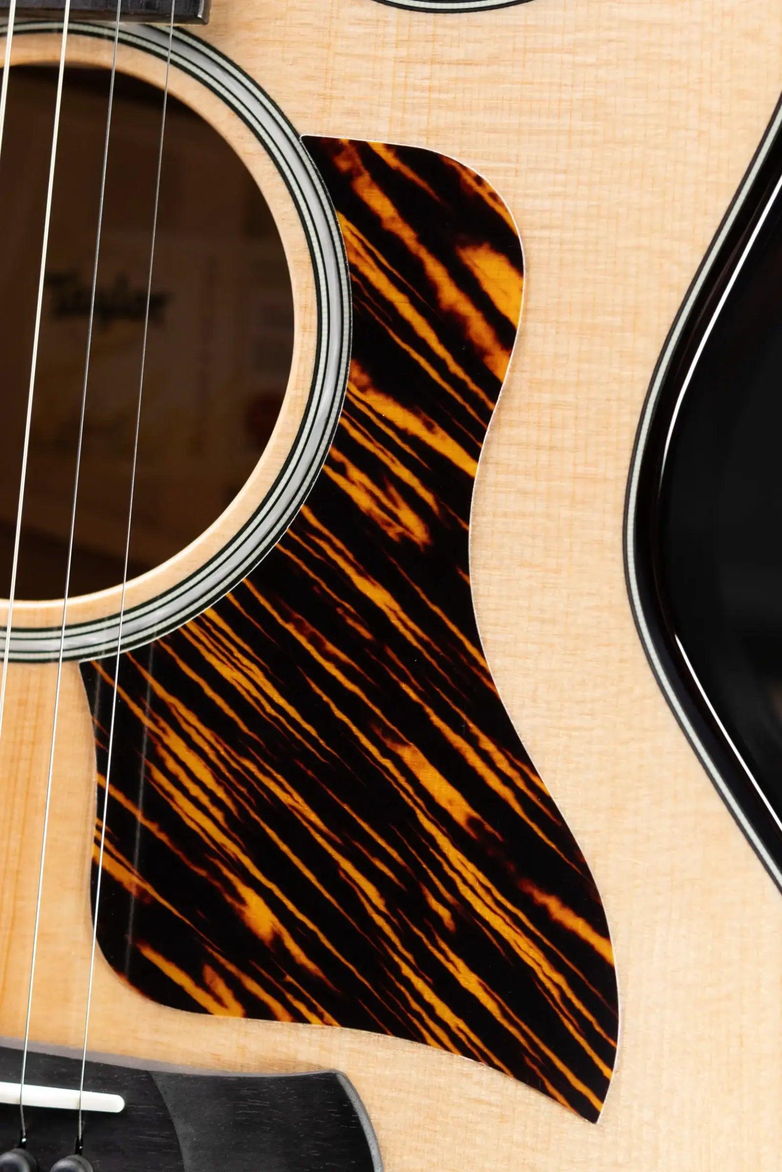 Taylor Next Generation Builder's Edition 514ce Grand Auditorium Acoustic/Electric Guitar - Natural with Hardshell Case