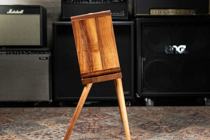 Taylor Circa 74 AV150-10 Amp With Stand - Select Koa