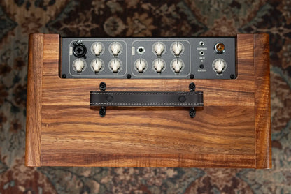 Taylor Circa 74 AV150-10 Amp With Stand - Select Koa
