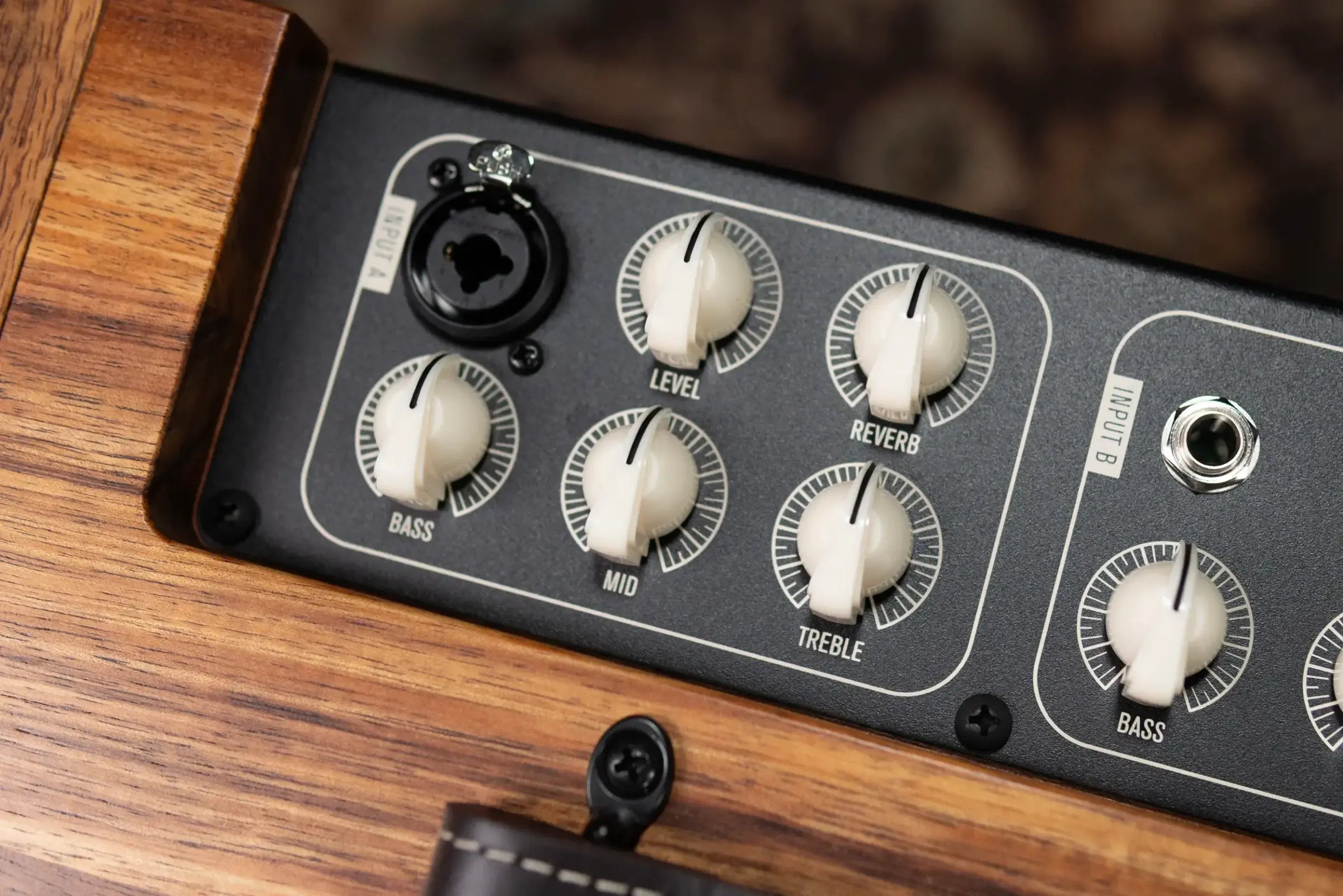 Taylor Circa 74 AV150-10 Amp With Stand - Select Koa