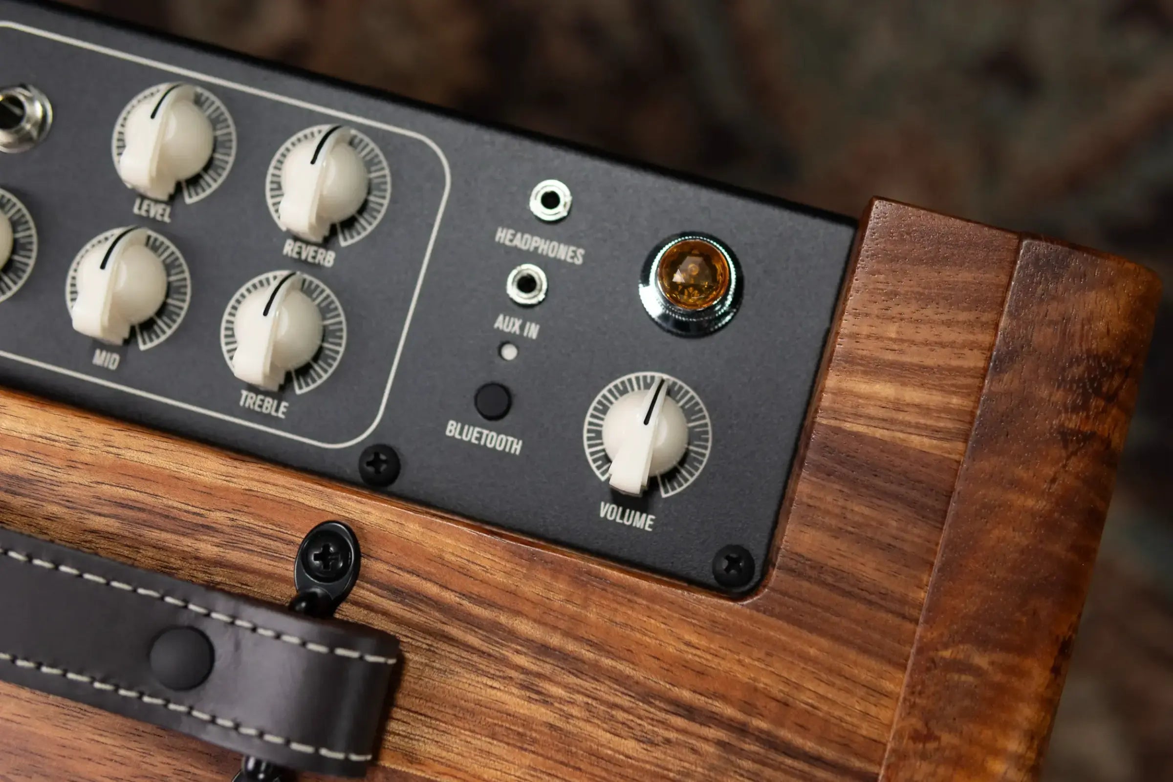 Taylor Circa 74 AV150-10 Amp With Stand - Select Koa