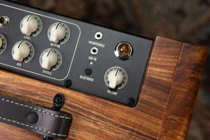 Taylor Circa 74 AV150-10 Amp With Stand - Select Koa