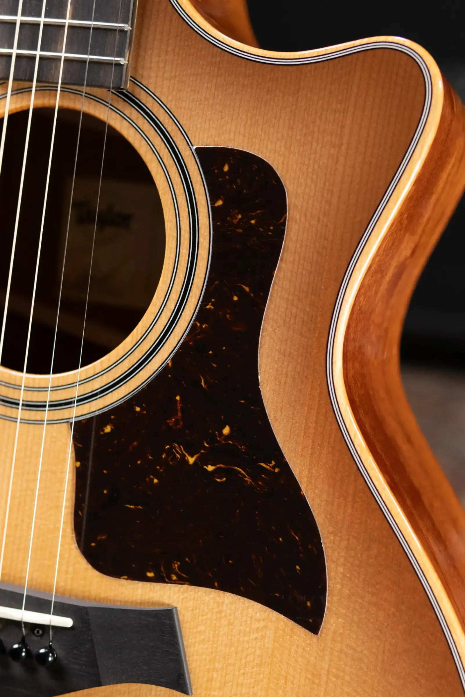 Taylor 314ce Studio Grand Auditorium Acoustic/Electric Guitar - Shaded Edge Burst with Gig Bag