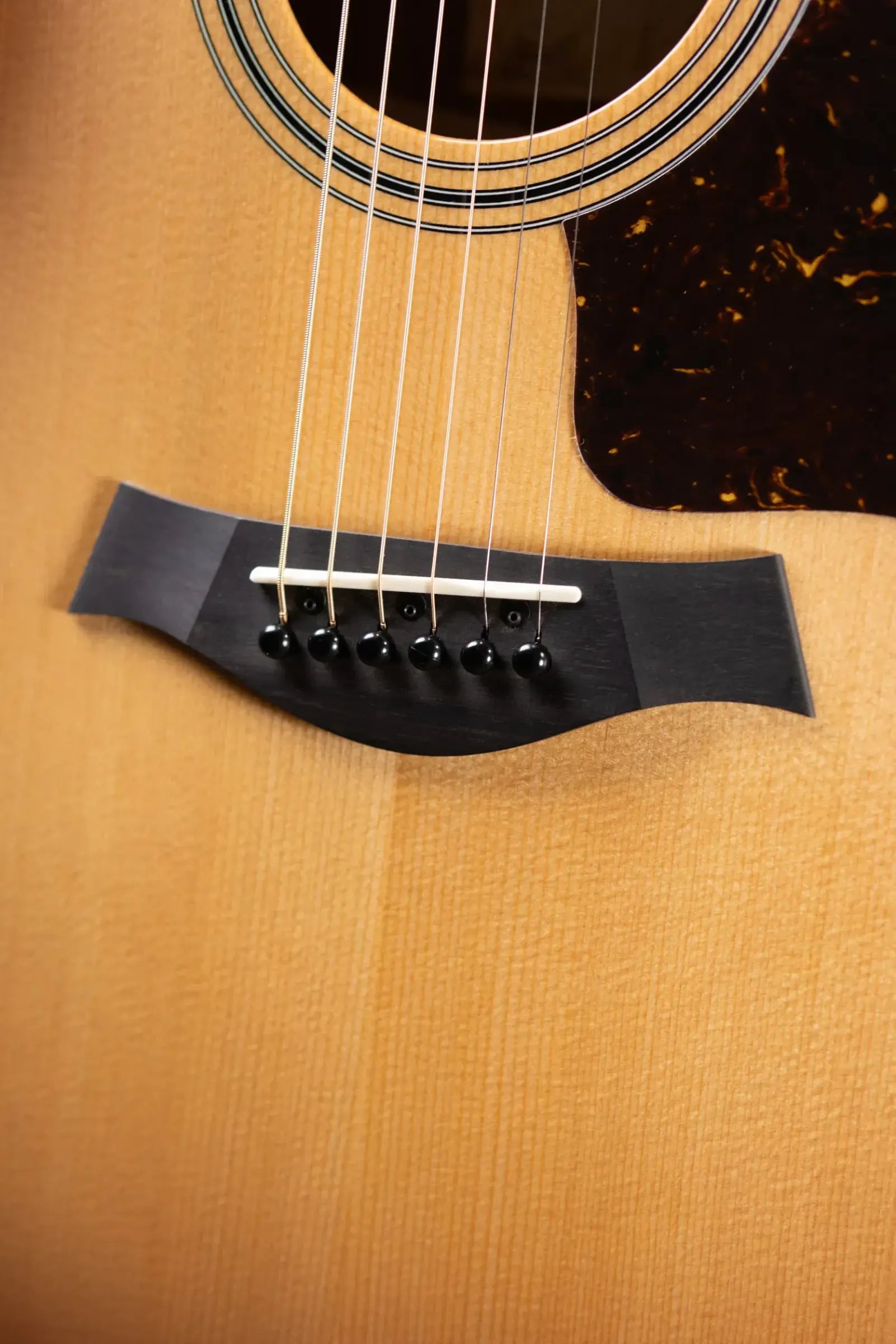 Taylor 314ce Studio Grand Auditorium Acoustic/Electric Guitar - Shaded Edge Burst with Gig Bag
