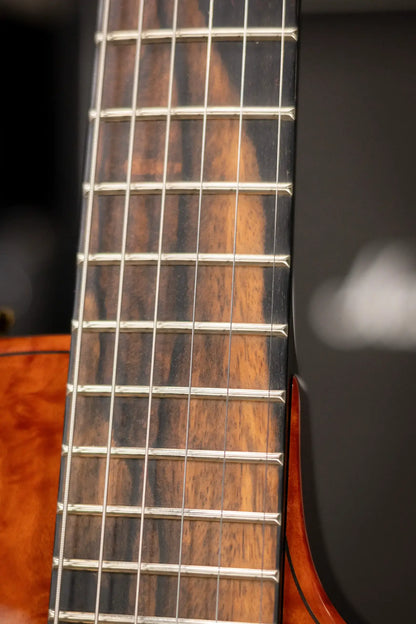 Taylor Custom Shop T5z Custom #C0960 Figured Ironbark/Shamel Ash Hollow Body Electric Guitar with Hardshell Case