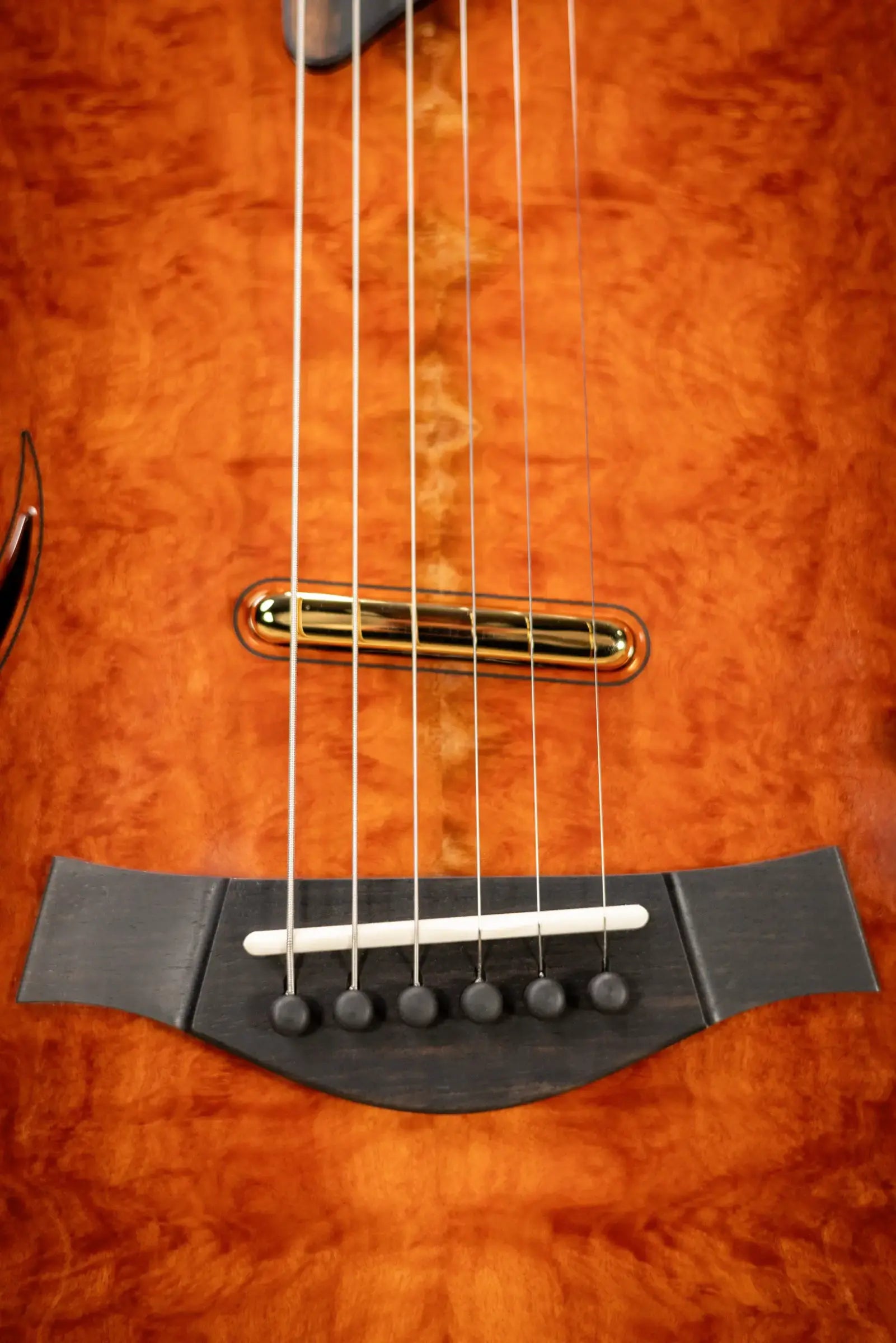 Taylor Custom Shop T5z Custom #C0960 Figured Ironbark/Shamel Ash Hollow Body Electric Guitar with Hardshell Case