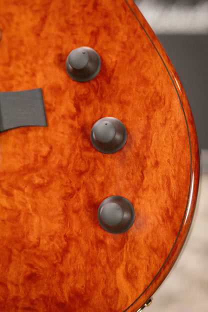 Taylor Custom Shop T5z Custom #C0960 Figured Ironbark/Shamel Ash Hollow Body Electric Guitar with Hardshell Case