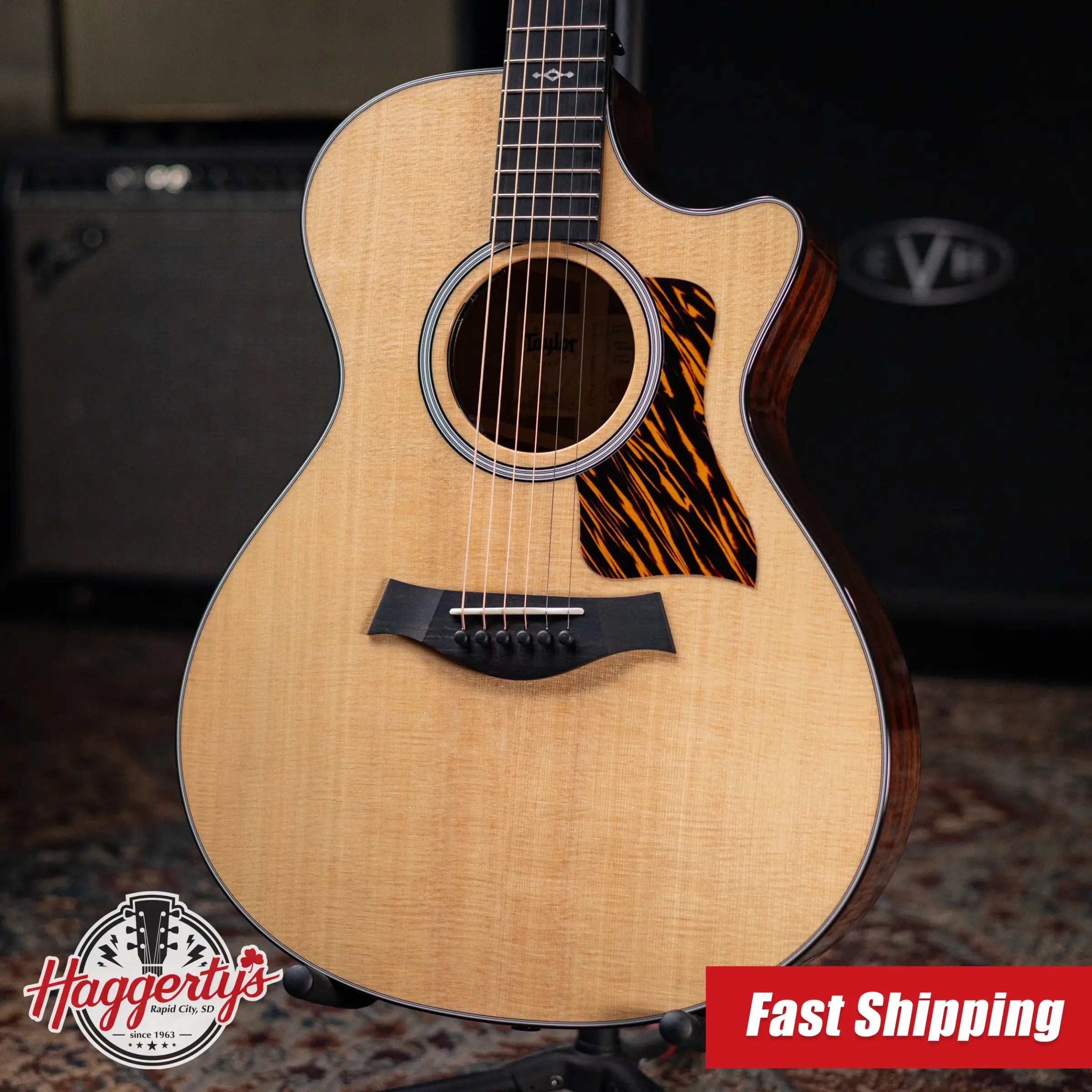 Taylor Next Generation 312ce Grand Concert Acoustic/Electric Guitar with Hardshell Case