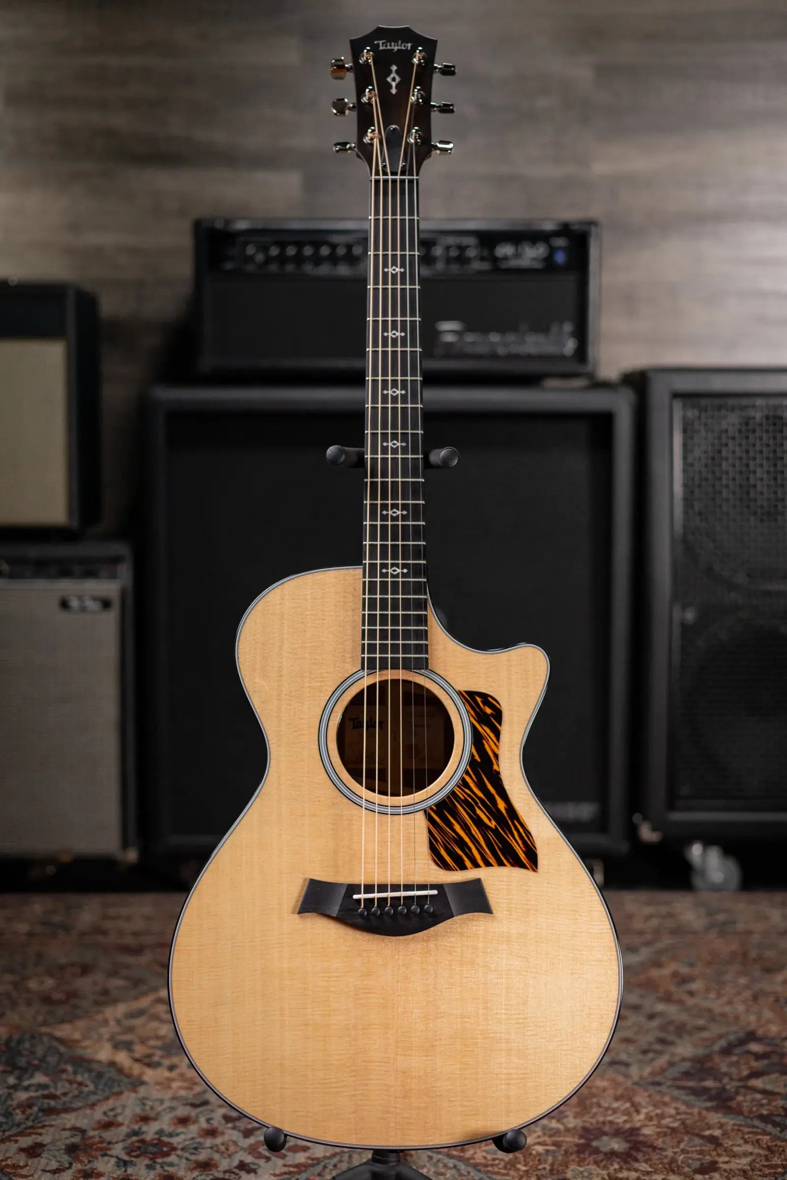 Taylor Next Generation 312ce Grand Concert Acoustic/Electric Guitar with Hardshell Case