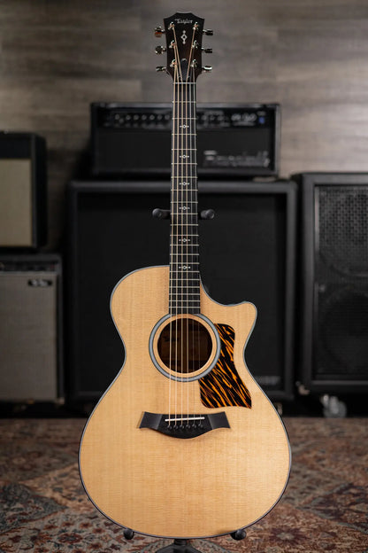 Taylor Next Generation 312ce Grand Concert Acoustic/Electric Guitar with Hardshell Case