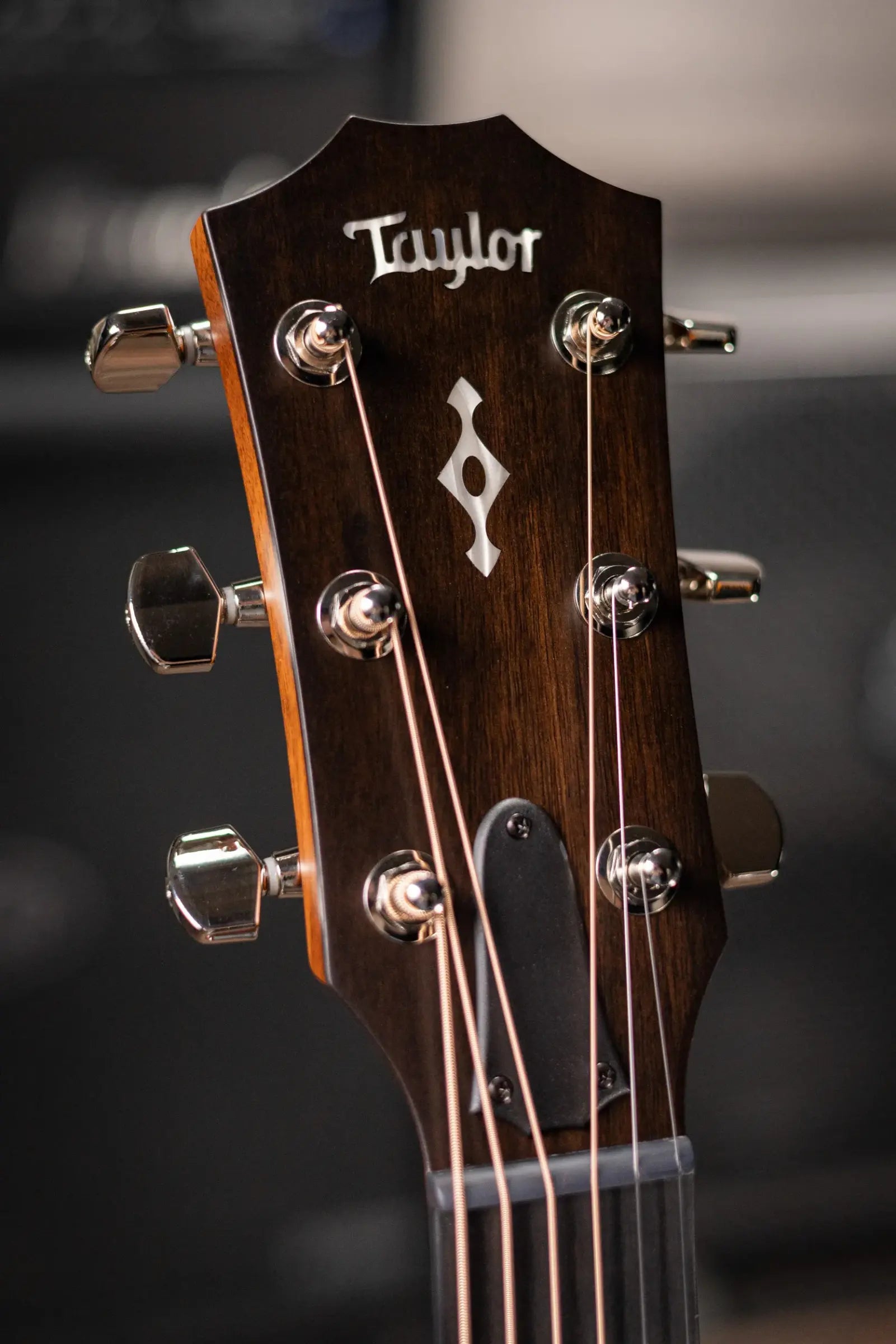 Taylor Next Generation 312ce Grand Concert Acoustic/Electric Guitar with Hardshell Case