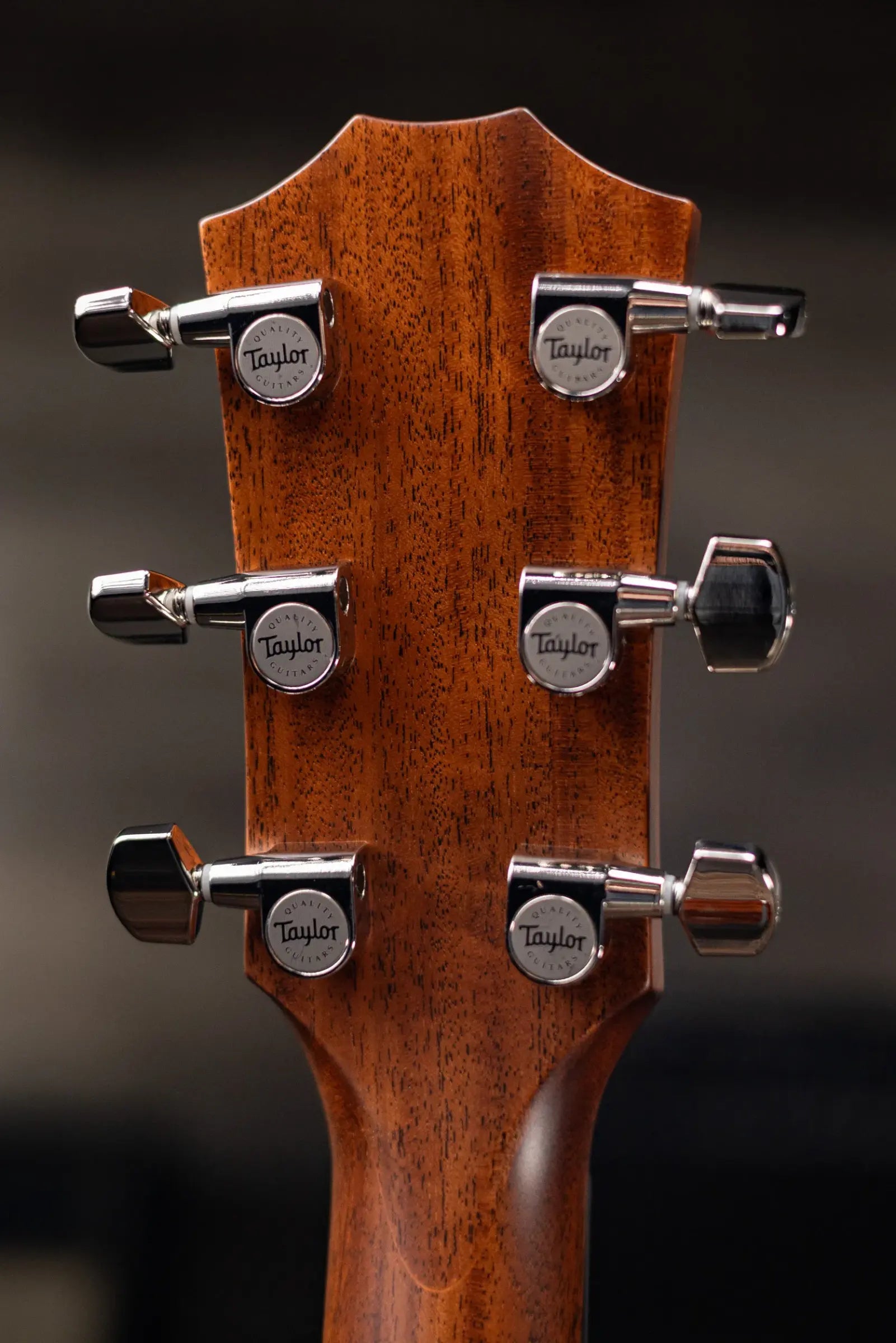 Taylor Next Generation 312ce Grand Concert Acoustic/Electric Guitar with Hardshell Case
