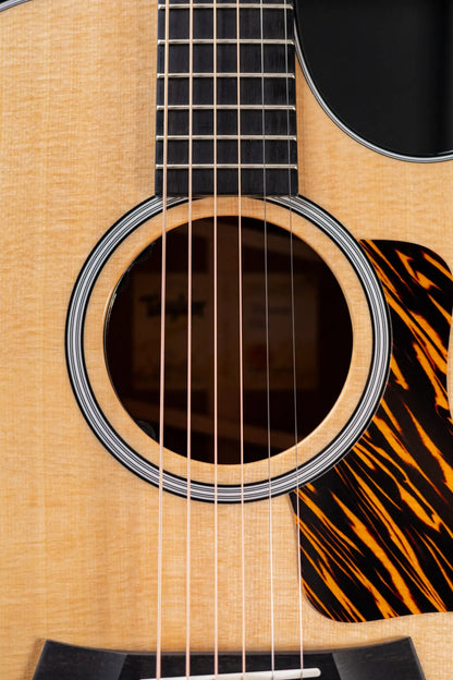 Taylor Next Generation 312ce Grand Concert Acoustic/Electric Guitar with Hardshell Case
