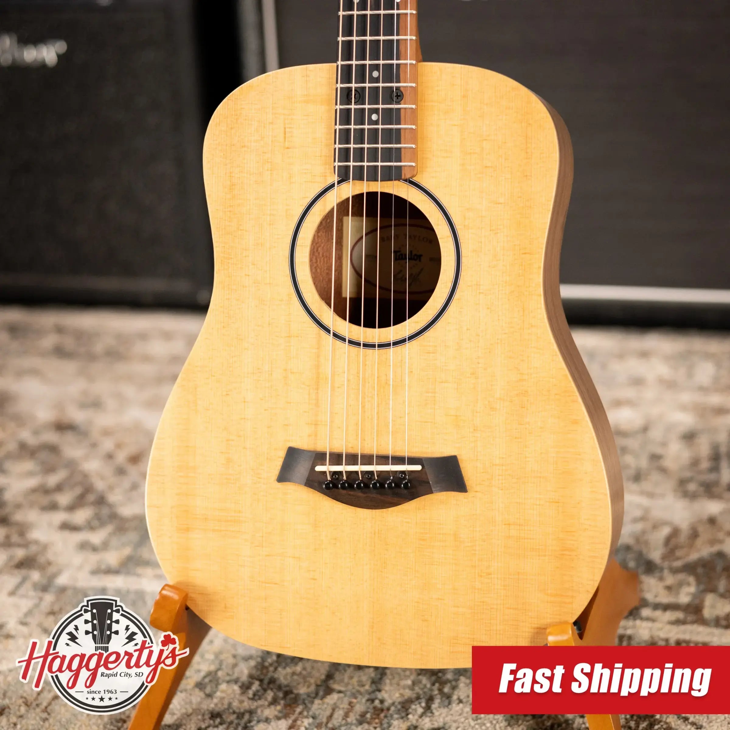 Taylor BT1e Baby Taylor Acoustic-Electric Guitar w/ Gig Bag