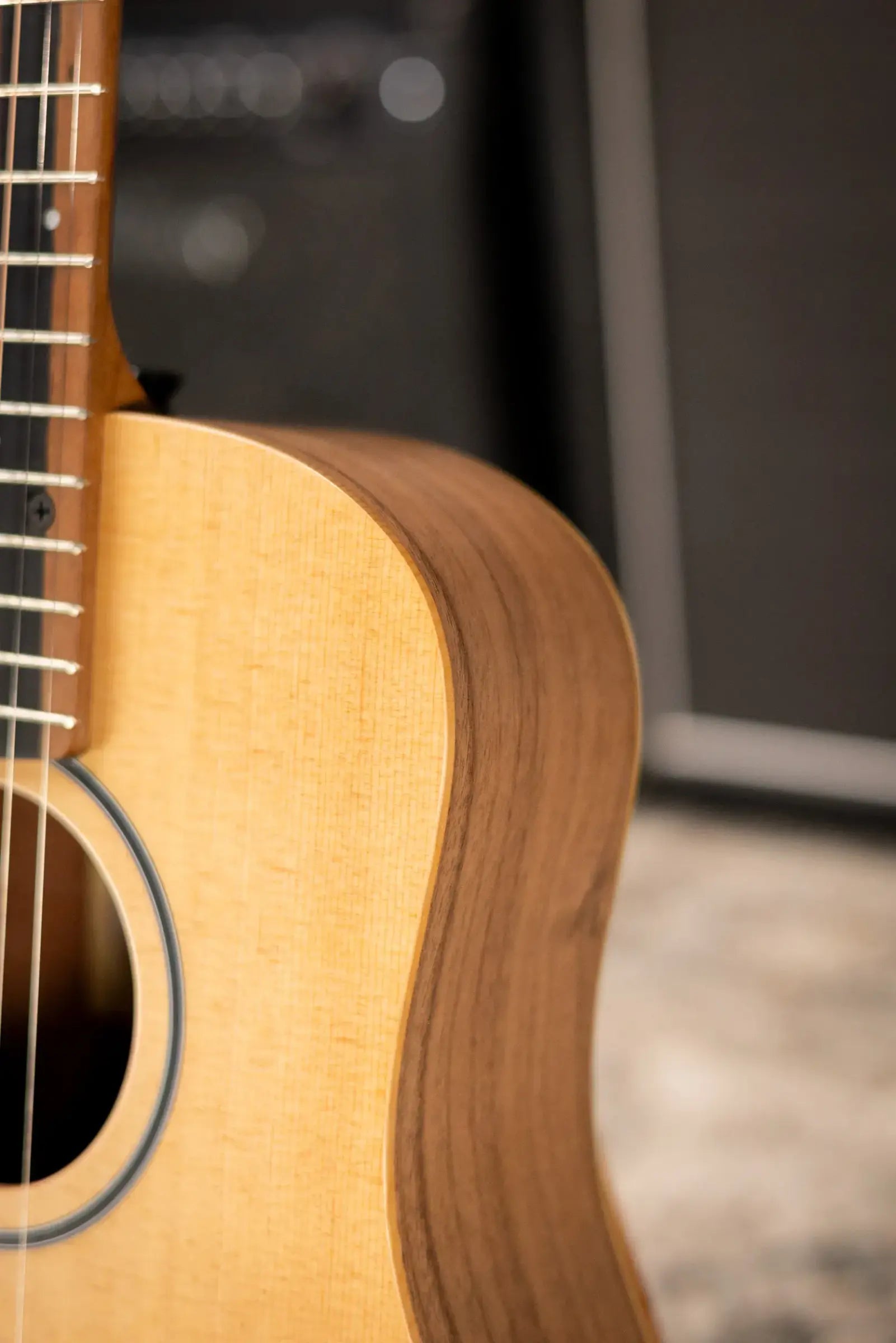 Taylor BT1e Baby Taylor Acoustic-Electric Guitar w/ Gig Bag