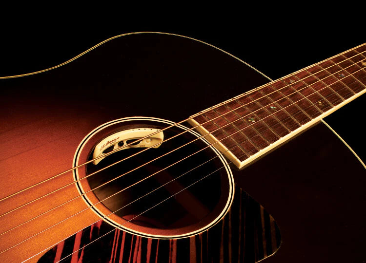 L R Baggs Anthem Tru Mic Element Pickup example