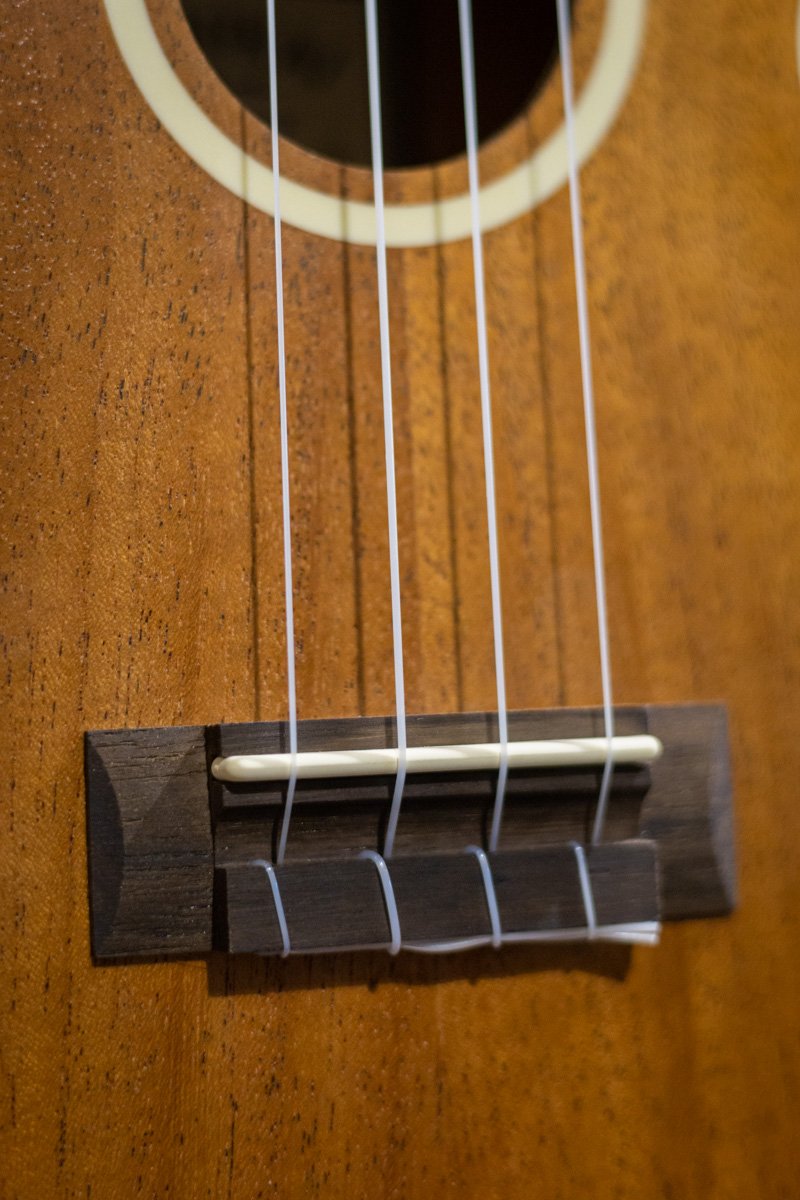 Lanikai LU Series Okoume Ukulele haggertys 11 20230516120007