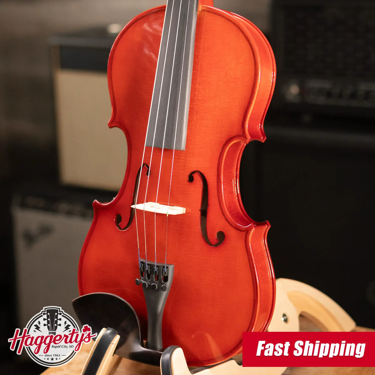 Maple Leaf Strings Model 110 Violin Outfit - 1/4 Size