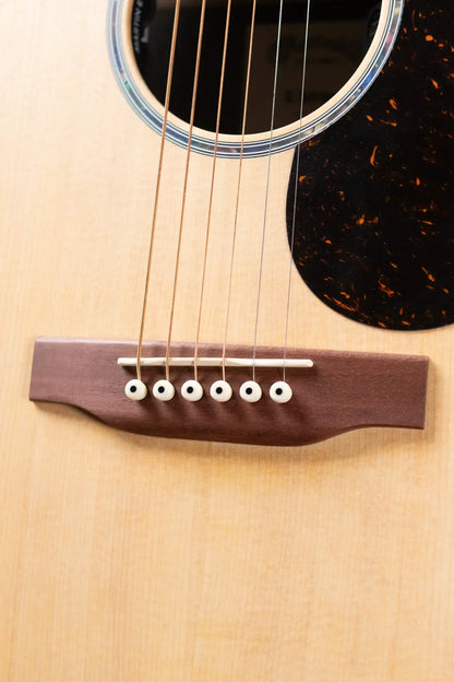Martin GPC-X2E Acoustic/Electric Guitar - Cocobolo with Gig Bag - Demo
