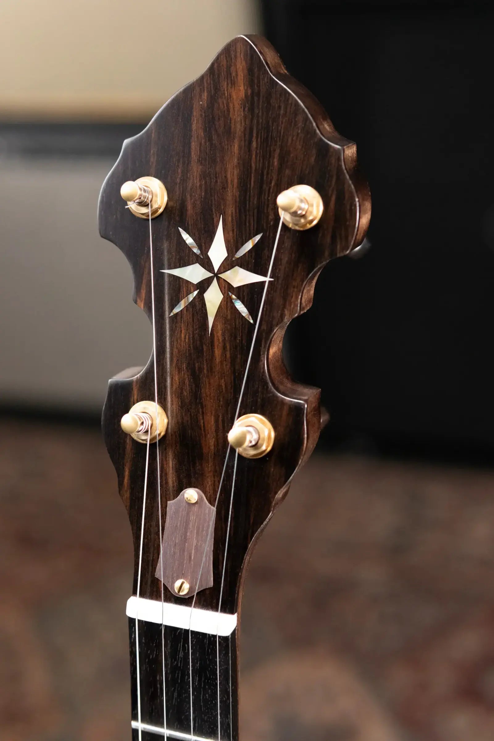 OME Banjos Gold Hill Vintage Alpha 5-String Resonator Banjo with Hardshell Case