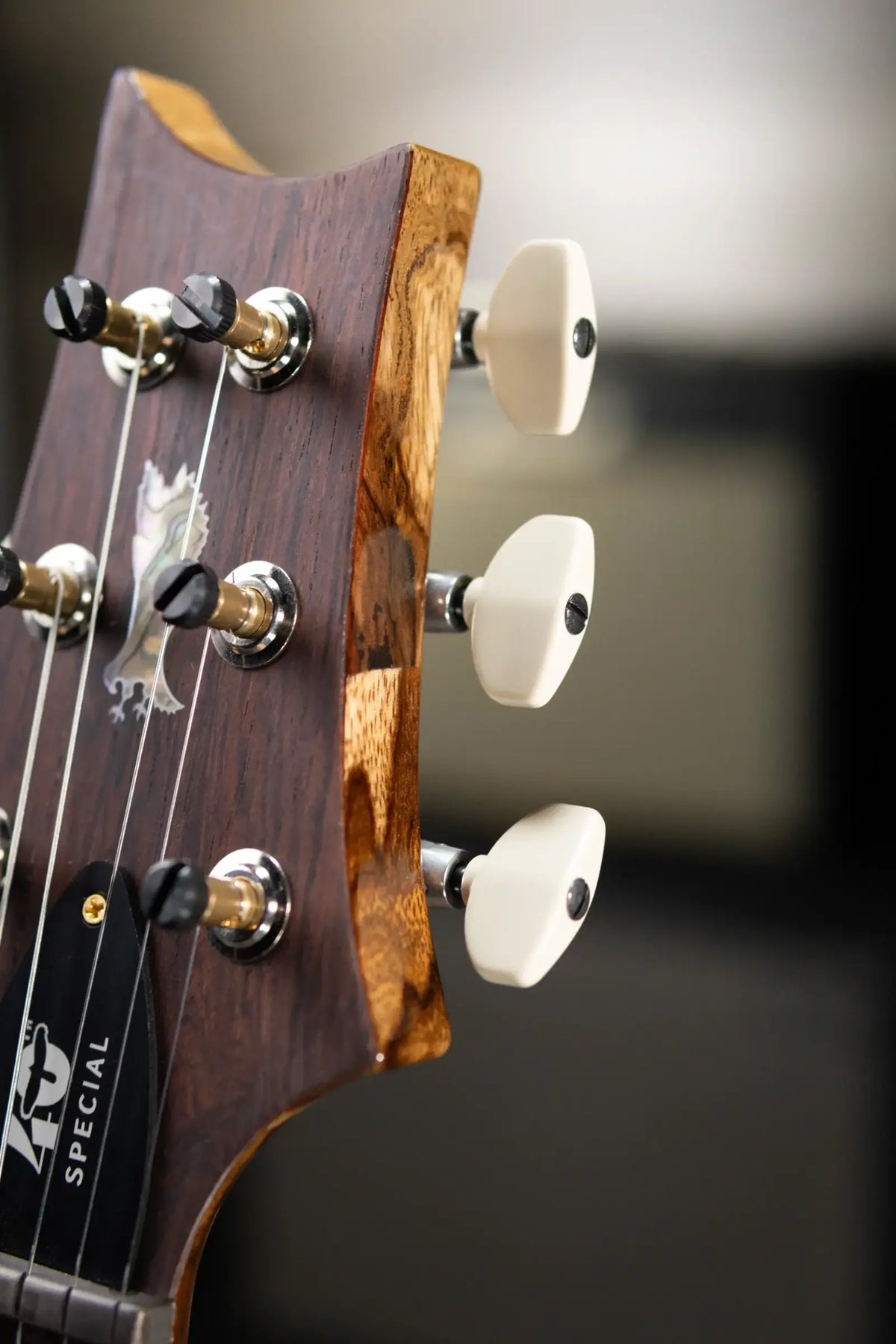 PRS 40th Anniversary Special Semi-Hollow Electric Guitar - Custom Color with Hardshell Case - Floor Model