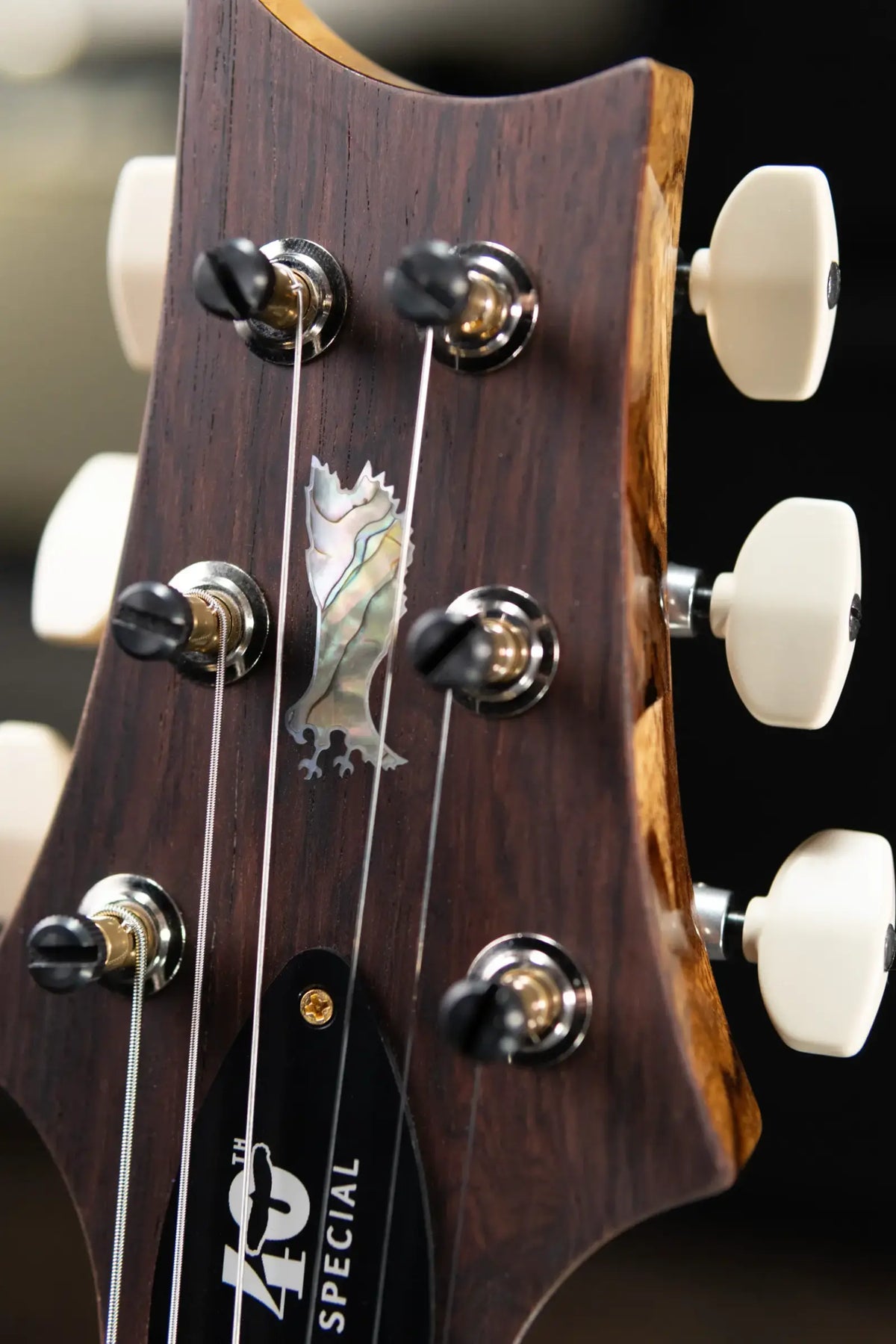PRS 40th Anniversary Special Semi-Hollow Electric Guitar - Custom Color with Hardshell Case - Floor Model