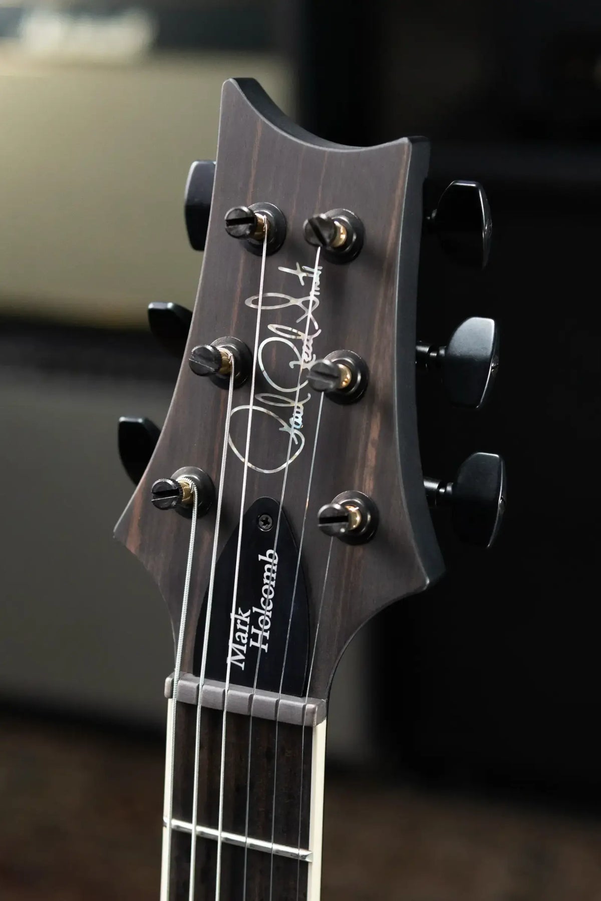 PRS Core Mark Holcomb Signature Electric Guitar - Purple Mist Wraparound Burst with Hardshell Case