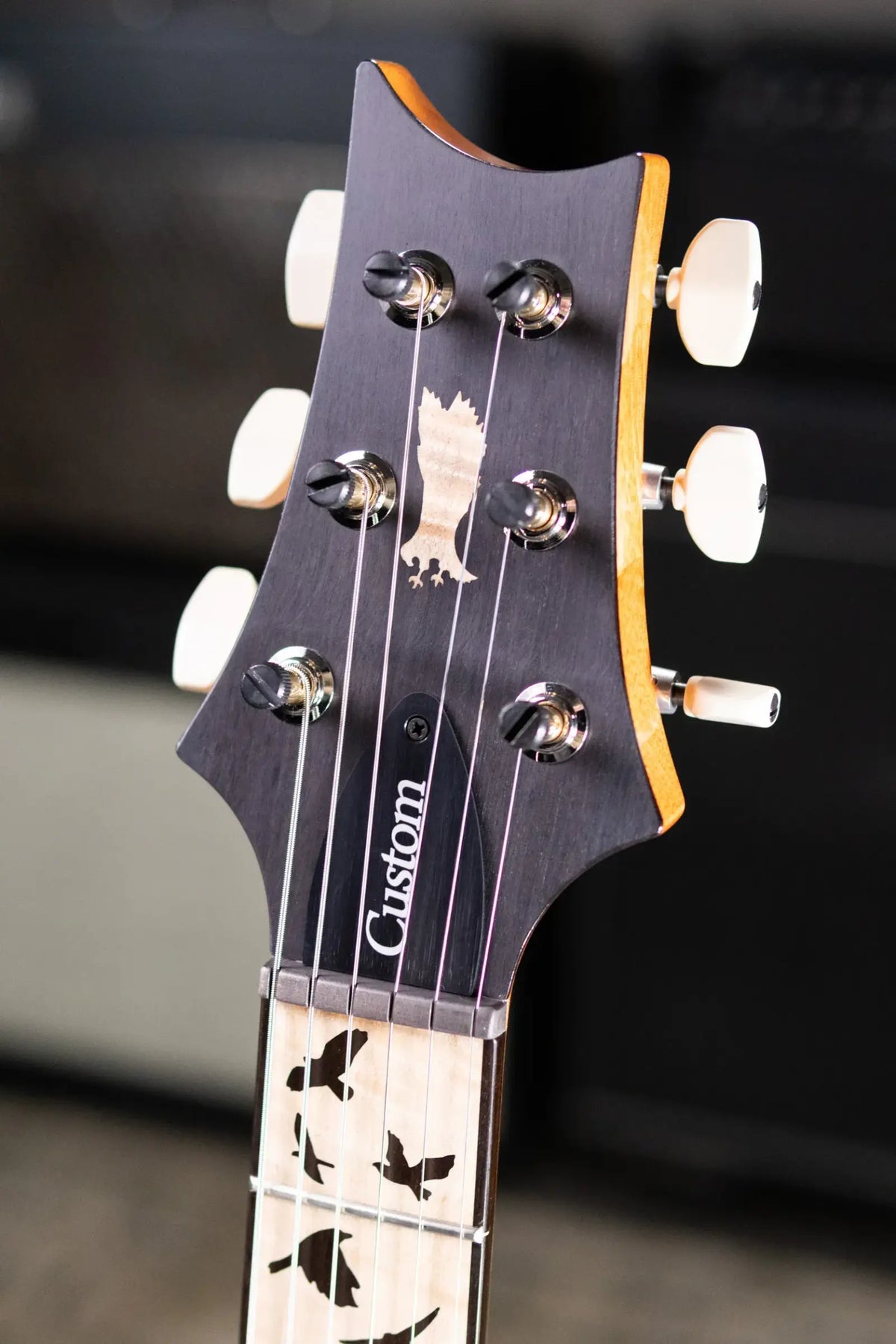 PRS Custom 24 "Birds of a Feather" Limited Edition Artist Top Electric Guitar - Charcoal Microburst with Hardshell Case